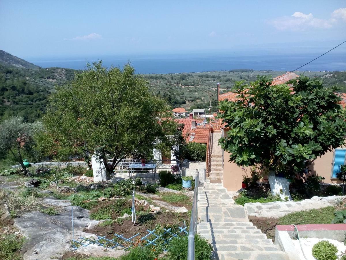 Kallirákhi Dimitra'S Garden Villa المظهر الخارجي الصورة