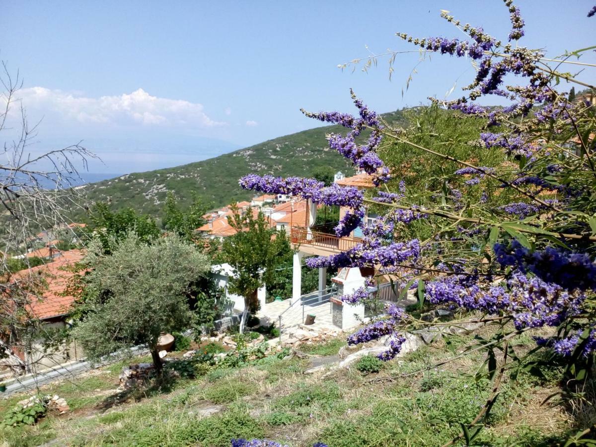 Kallirákhi Dimitra'S Garden Villa المظهر الخارجي الصورة